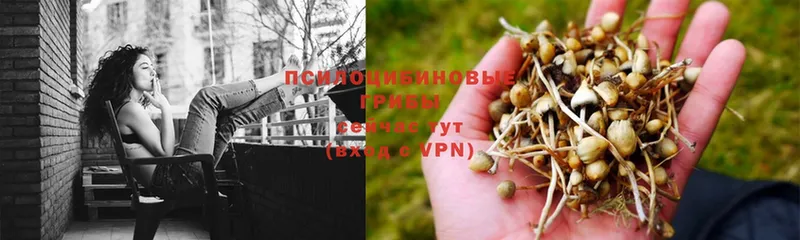 Названия наркотиков Морозовск КОКАИН  Кодеин  Марихуана  Меф мяу мяу  KRAKEN ONION  Псилоцибиновые грибы 