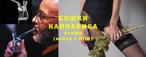 твердый Мегион