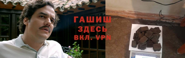 твердый Мегион