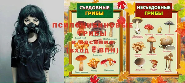 а пвп мука Медвежьегорск